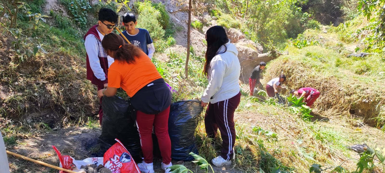 Primera imagen de Proceso del Proyecto