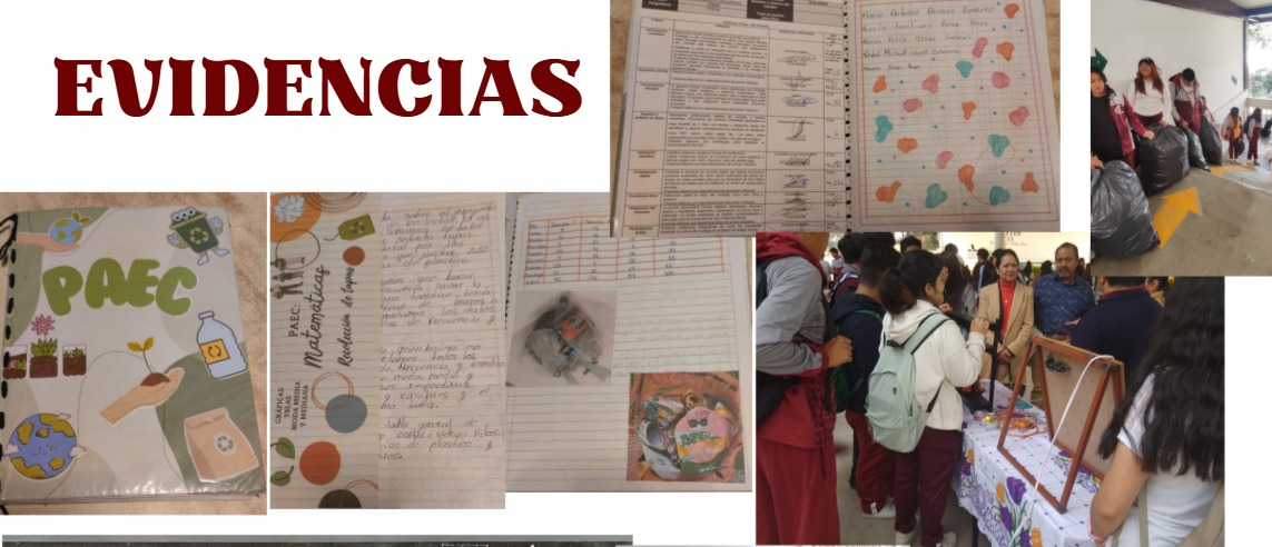 Octava imagen de Proceso del Proyecto